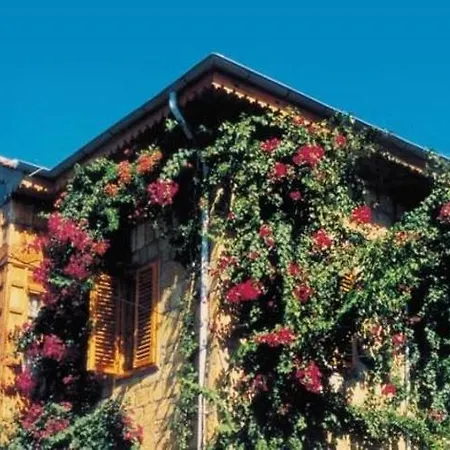 Begonville Πανσιόν