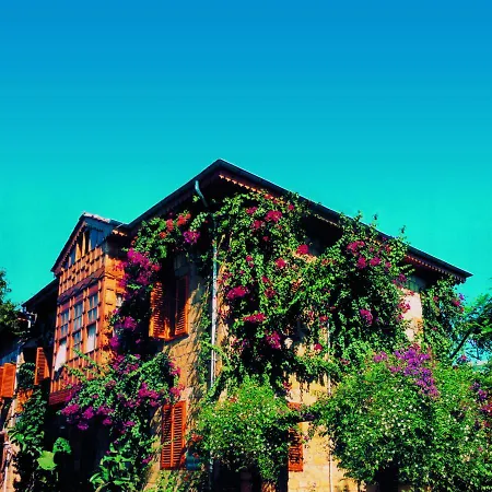 Гостьовий будинок Begonville 2*