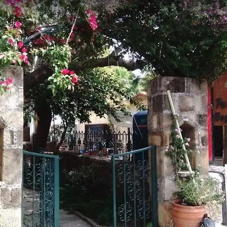 Begonville 2* シダ