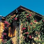 Begonville Gæstehus