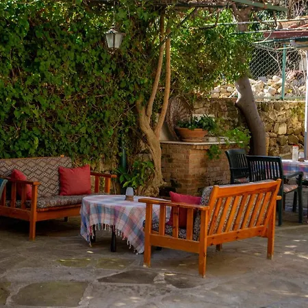 Begonville Σιντέ