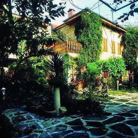 Begonville