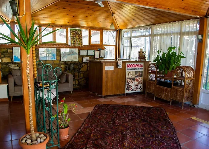 Begonville بيت ضيافة سيدي