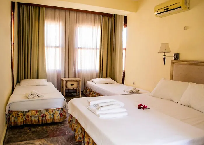 بيت ضيافة Begonville سيدي