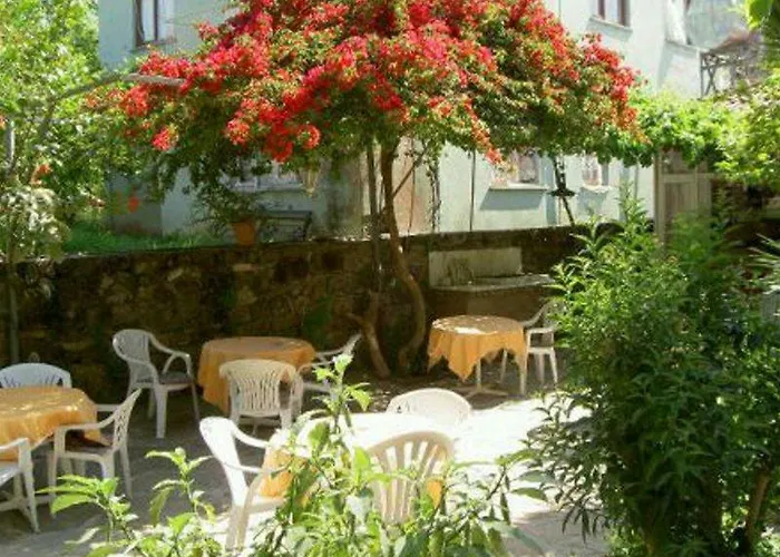 بيت ضيافة Begonville سيدي